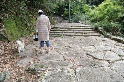 犬と散歩する女性